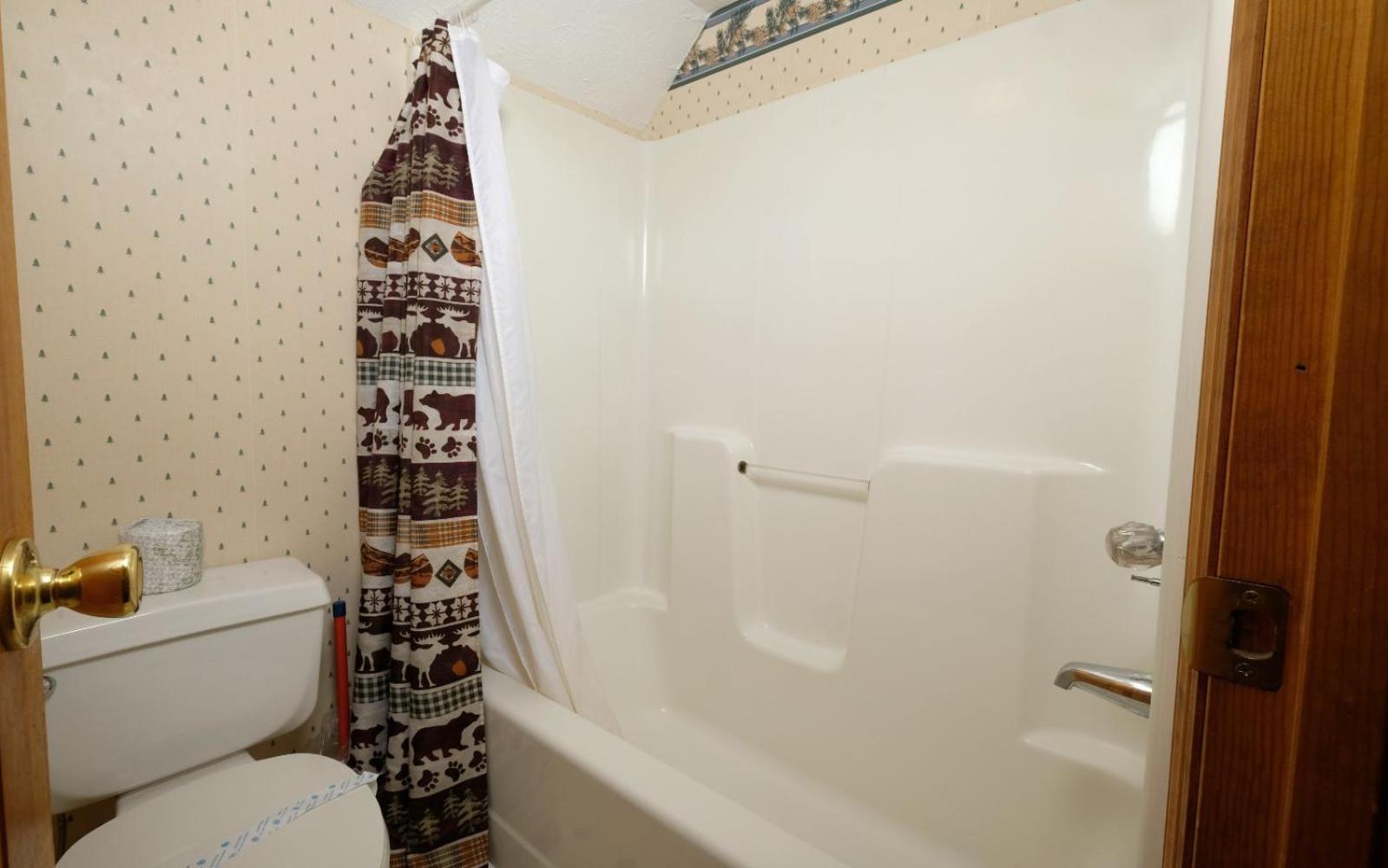 Bear Hugs 1126 Villa Гетлинбург Екстериор снимка